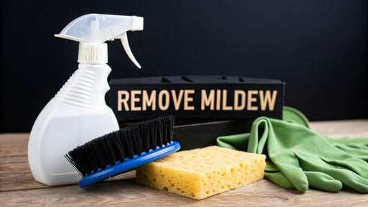 How to Remove Mildew Safely from Any Surface